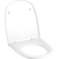 Geberit WC-Sitz Vitelle, mit Deckel, Scharniere Edelstahl