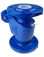 Grundfos Rückschlagklappe, PN 10, Grauguss