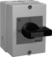 Wolf Revisionsschalter ESH-21