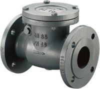Oventrop Flansch-Rückschlagklappe, PN 16, Grauguss