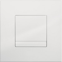 FORMAT Tec Urinal-Abdeckplatte Delos, Kunststoff