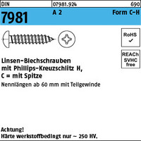 DIN 7981 A 2 Form C-H Linsen-Blechschrauben mit Spitze, mit Phillips-Kreuzschlit