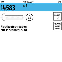 ISO 14583 A 2 Flachkopfschrauben mit Innensechsrund