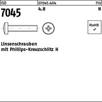 ISO  7045 Linsenschrauben mit Kreuzschlitz