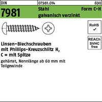DIN 7981 Stahl Form C-H galvanisch verzinkt Linsen-Blechschrauben mit Spitze, mi