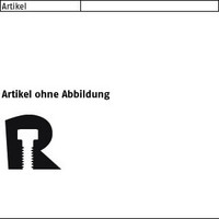 ISO 4017 D6 -100 Sechskantschrauben mit Gewinde bis Kopf