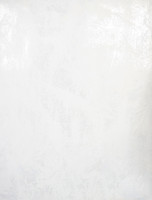 FORMAT Plus Rückwandverkleidung, 280 x 130 cm