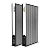 Professional Air Purifier