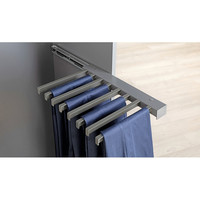 Ausziehbarer Hosenhalter zur Montage an der Korpusseite, 8 Halter, anthrazit